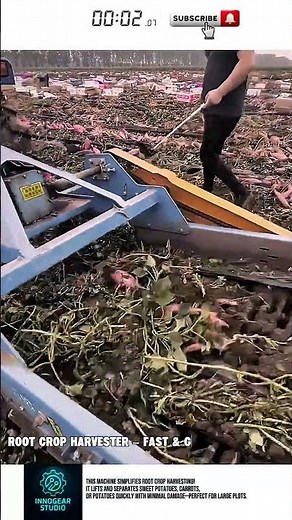 Root Crop Harvester – Fast & Gentle Harvest