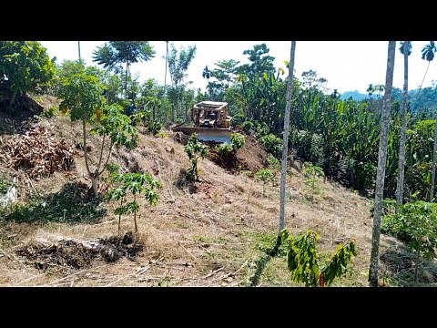 Incredible BULLDOZER D6R XL cuts hills to make new roads from scratch to finish