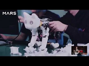 MarsCat: A Bionic Cat, a Home Robot