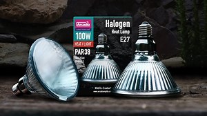 100W PAR38 Halogen Heat Lamp provides a rich, warm directional flood of energy rich light for your pet reptiles. Use with a dimming stat for optimum control. Available now in in E27 240v and now E26 110v for the USA and Canada. Ask your Arcadia Reptile dealer for more info. | Arcadia Reptile