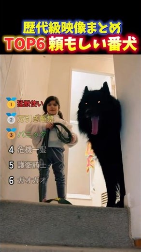 Top 6 reliable guard dogs that protect their owners and have gone viral overseas