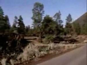EASY RIDER 2.wmv