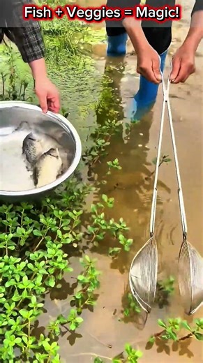 Natural Aquaponics Farming – Harvest Fresh Fish Right From Your Garden!
