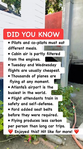 ✈️ Eye-Opening Facts About Flying#AviationFacts #TravelTips #FlySmart | Math & Puzzle