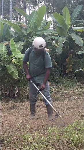 This Grass Cutter Is Insanely Powerful! 🔥