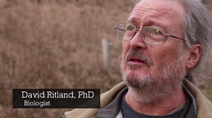 El Dorado: The Search for the Golden Toad