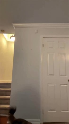 Did somebody say sleigh?! 🛷 🎅 Deck the halls this holiday season with 20% off all Party City Holiday Costumes, online only at www.partycity.com! #partycity #santasuit #santacostume | Party City