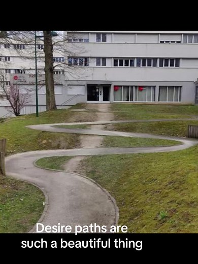 What Are Desire Paths? Exploring Nature's Footprints