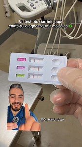 Diarrhée avec du sang ?? C’est un test très important à réaliser chez les chats qui sortent, les chatons sauvés et les chats non vaccinés. Partagez svp #dr_handi_veto #veterinaire #chat | Docteeur Handi Dahmana