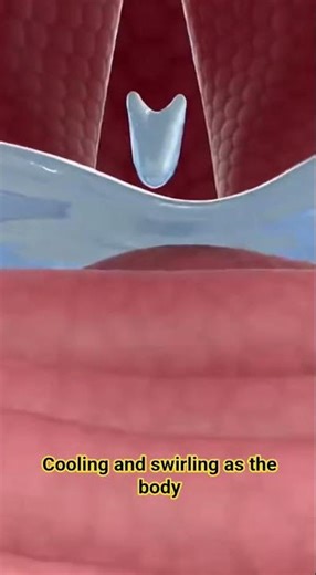 Drink More Water 💧 | Boost Energy & Stay Healthy Fast!#healthfacts #healthtips #shortvideo