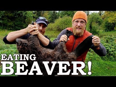 Catch, Cook, Clean Beavers in Survival (ft. Zach Fowler)