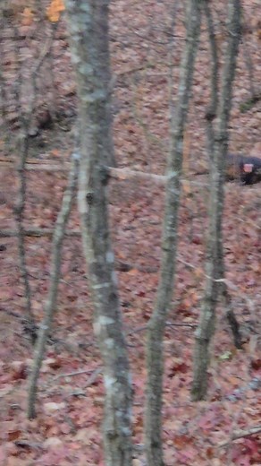 Stephen May on Reels