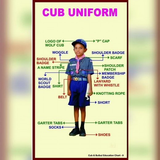 #scout and guide uniform #bulbul uniform #cum uniform #kvs uniform