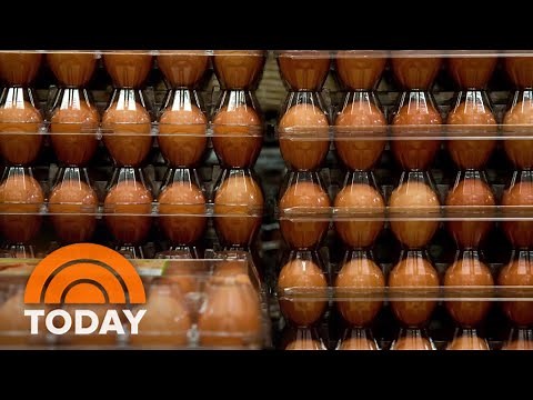 FDA raises Costco egg recall to highest risk level