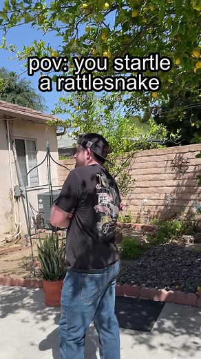 Snake Dancing Warning: Funny and Silly Reptile Twerk