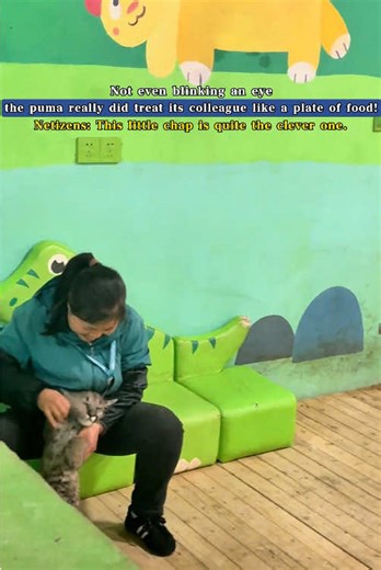 Clever Puma Treats Colleague Like Food