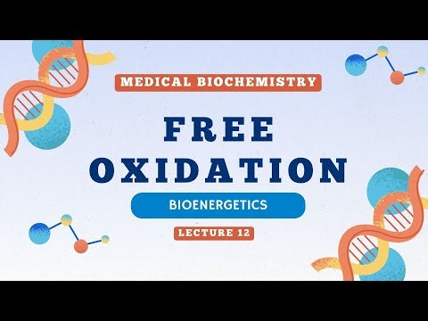 Lecture 12 | Free oxidation