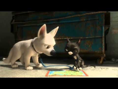 Oliver in Grouchland Trailer