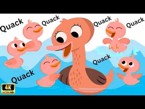 Five Little Ducks Splash & Swim Remix 🌊 | Counting Backwards Song for Toddlers | Preschool Learning