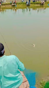 Funny fishing scene #funny #fishing #scence | Fish Bongo