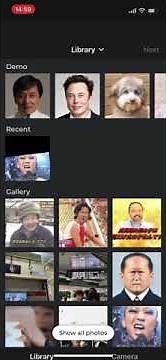 【Avatarify】1分で分かるマイアヒの作り方