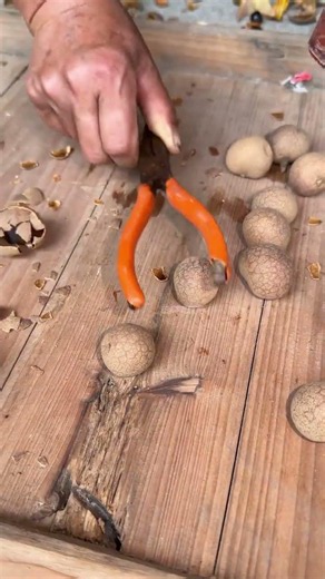 How to Shell Nuts Tips #Life Skills #Nuts #Shell Shedding Methods #Practical Tools#77816