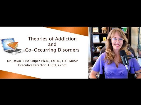 Unlocking Recovery: Exploring Models and Theories of Addiction