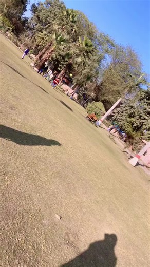 Ayesha Jutt (@alinajutt1)’s videos with original sound - Ayesha Jutt