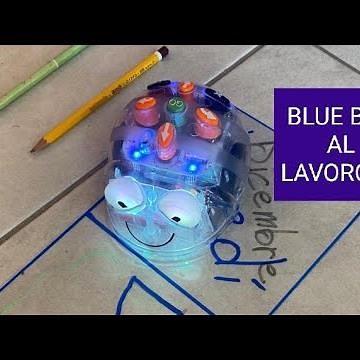 Attività con le BLUE BOT🐝@Classe 2*A
