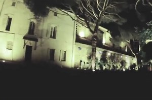 Seagull steals a recording GoPro camera.