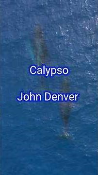 🎶😍 Calypso by John Denver # #feelgoodmusic #70smusic #relaxing