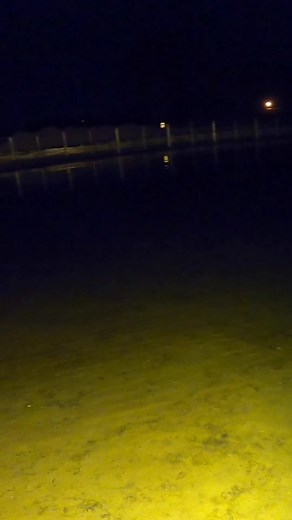 Always ready for that quick draw! #bwfilms #bw #bwbowfishing #bowfishing #fishing #carp #carpfishing #fishingcarp #archery #archeryfishing #bowandarrowfishing #bowandarrow #fyp #foryoupage #foryou #outdoors #bigfish