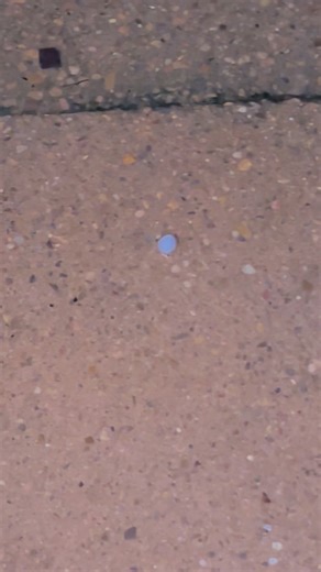 10/25/25: In Erin, between Magnolia Springs and Mt. Union, are now reporting pea-size hail as the storm moves east at 40 mph. | East Texas Banner