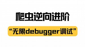 JS逆向必备技能：无限debugger的调试技巧与破解丨Python爬虫逆向进阶实战项目