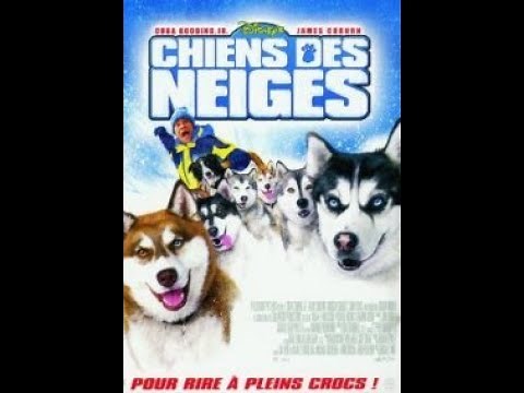 Chiens des neiges