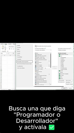 Excel no trae la pestaña Programador