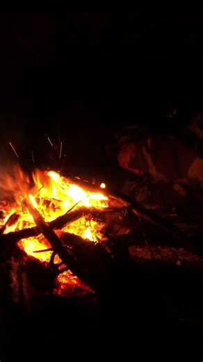 no tools survival challenge #onenightsurvival