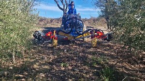 ⚠️Test in campo della macchina progettata e brevettata dalla ditta Arrizza srl (OLIVER 2.0 ) Macchina creata per gestire l'interfila nei Frutteti e Oliveti con un sistema di Ribaltamento (che permette di avere una macchina larga fino a 6 metri e compatta per il trasporto stradale) e un nuovissimo sistema flottante autolivellante indipendente . - Supporta tutti gli accessori interfilari della gamma Arrizza ☑️ - Centralina ISOBUS per comandare la macchina interamente dalla trattrice ☑️ ARRIZZA, LA