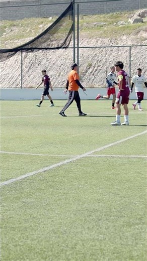 akita vs wolf 28 de febrero 2026