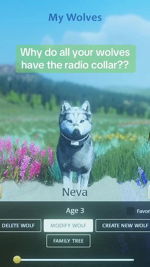 WolfQuest Anniversary Edition: Plane and Radio Collar in Game
