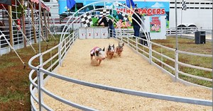 South Florida Fair, Boat Show on deck for this weekend