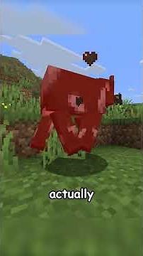 LAVA CHICKEN in MINECRAFT!!??!