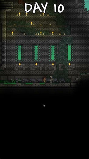 The Medium (4/4) - Pinkymod (12/60 or sum) #oklah #terraria #mods #100days