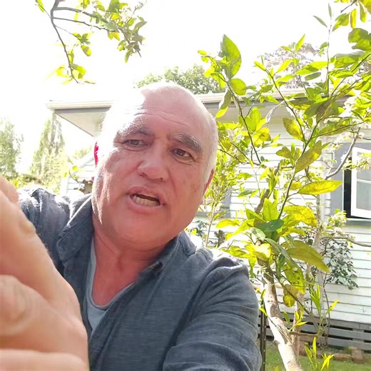 3.6K views · 142 reactions | Lime tree shoot removal 羅 . This time...