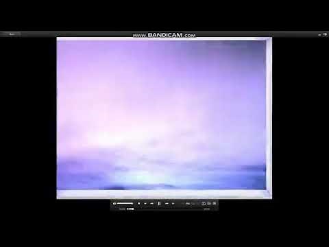 Timon and Pumbaa Find Out Why