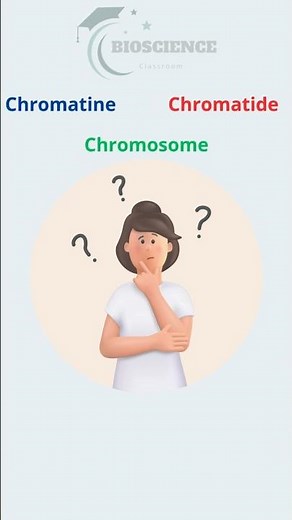 Chromatine, Chromatide, Chromosomes : Ne Confondez Plus Jamais !