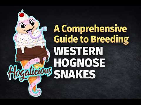 A Comprehensive Guide to Breeding Western Hognose Snakes