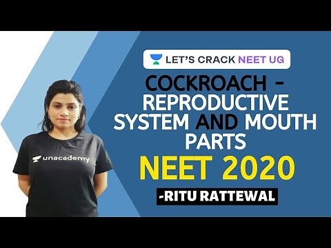 Phoenix 2.0: Biology Most Important Video for NEET 2025 | Udaan