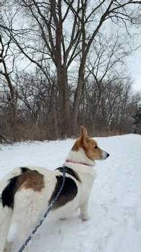 Exploring Prairie Path! 🐶❤️