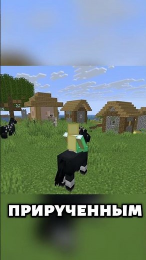 Как приручить всех животных матнкрафт? #маинкрафт #майнкрафт #промайнкрафт #minecraft